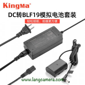 Pin Ảo (Dummy Battery) Panasonic BLF19 - Hiệu Kingma