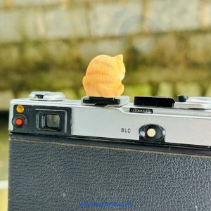 Hotshoe Che Chân Flash Hoạt Hình - Mẫu HS02