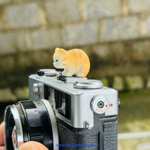 Hotshoe Che Chân Flash Hoạt Hình - Mẫu HS02