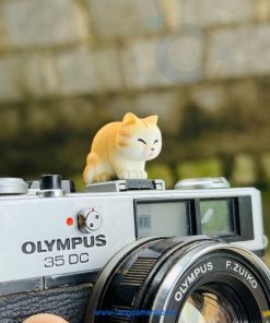 Hotshoe Che Chân Flash Hoạt Hình - Mẫu HS02