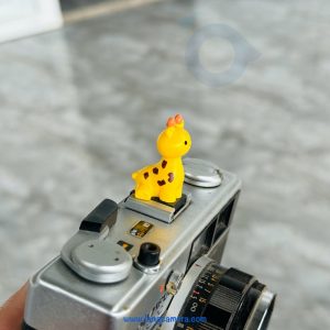 Hotshoe Che Chân Flash Hoạt Hình - Mẫu HS03