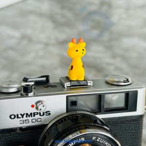 Hotshoe Che Chân Flash Hoạt Hình - Mẫu HS04