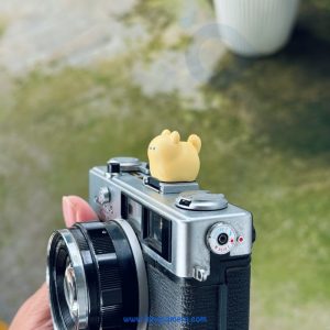 Hotshoe Che Chân Flash Hoạt Hình - Mẫu HS12