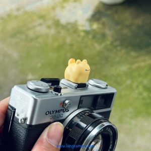 Hotshoe Che Chân Flash Hoạt Hình - Mẫu HS12