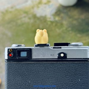 Hotshoe Che Chân Flash Hoạt Hình - Mẫu HS12